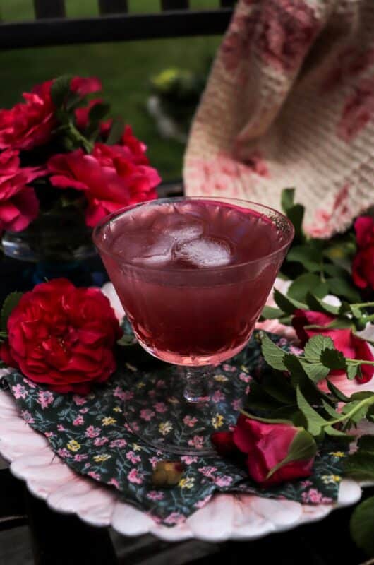 Rose Gin Daisy