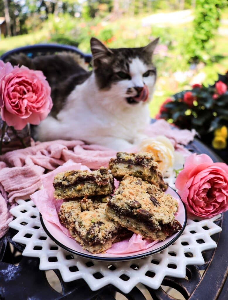 Rose Jam Shortbread Bars with Pistachios