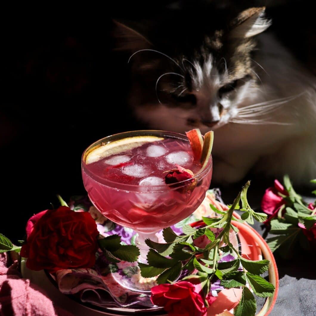 Rose Rhubarb Cocktail
