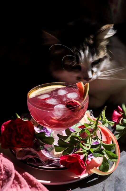 Rose Rhubarb Cocktail