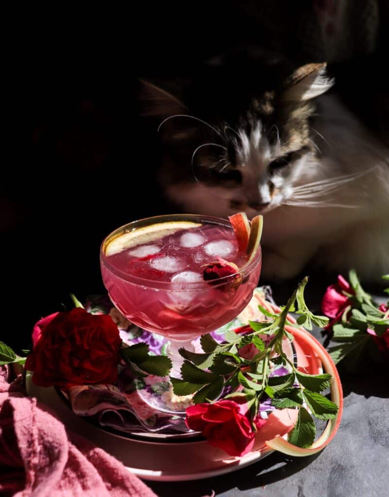Rose Rhubarb Cocktail