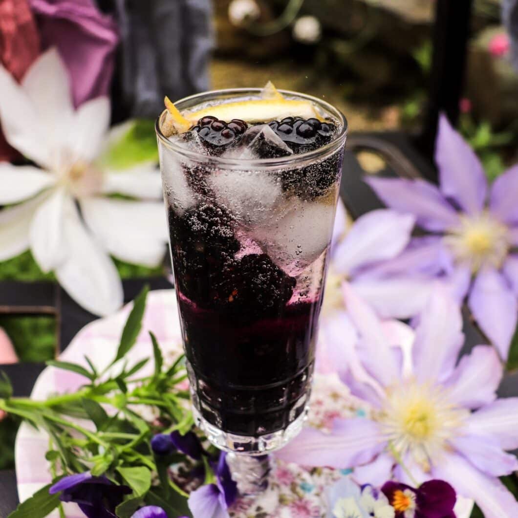 Blackberry Violet Spritz