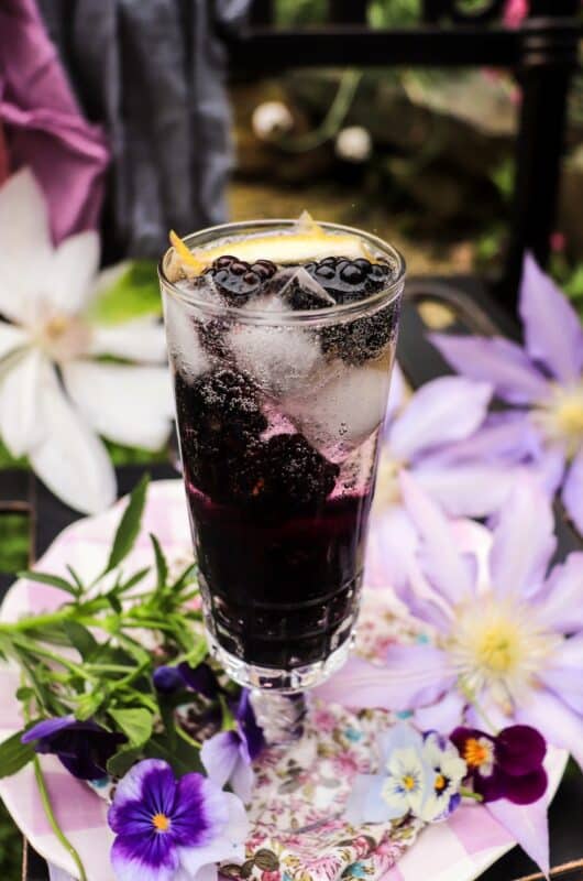 Blackberry Violet Spritz