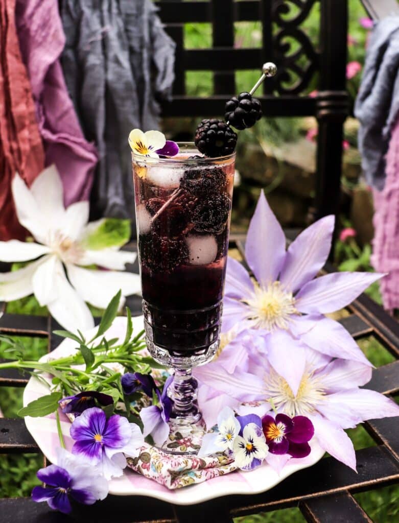 Blackberry Violet Spritz