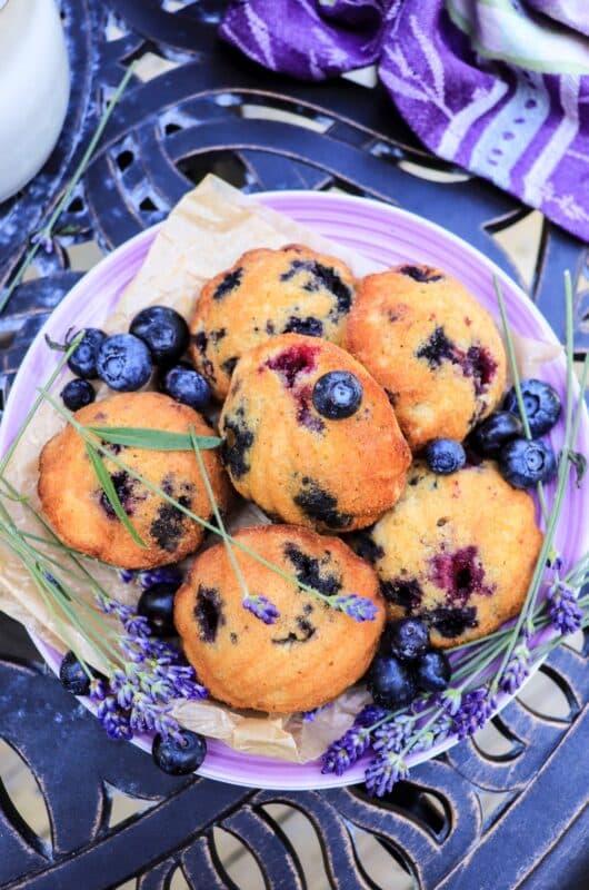 Blueberry Madeleines with Lavender