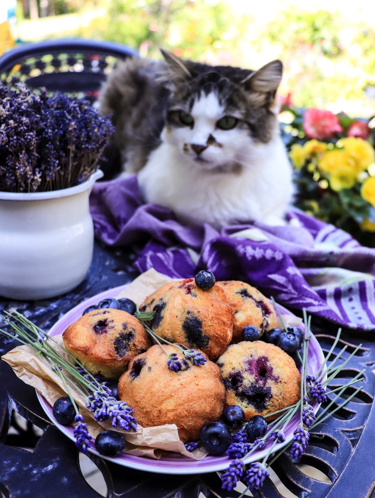 Blueberry madeleine recipe with fresh blueberries