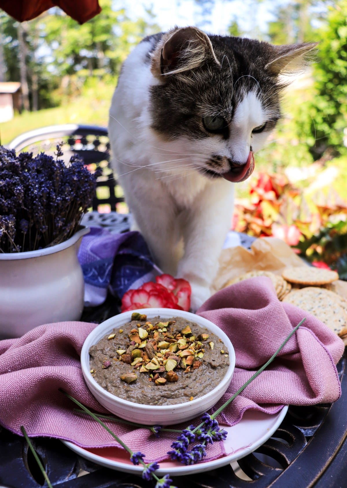 Rustic chicken liver pâté with lavender and pistachios served with crackers