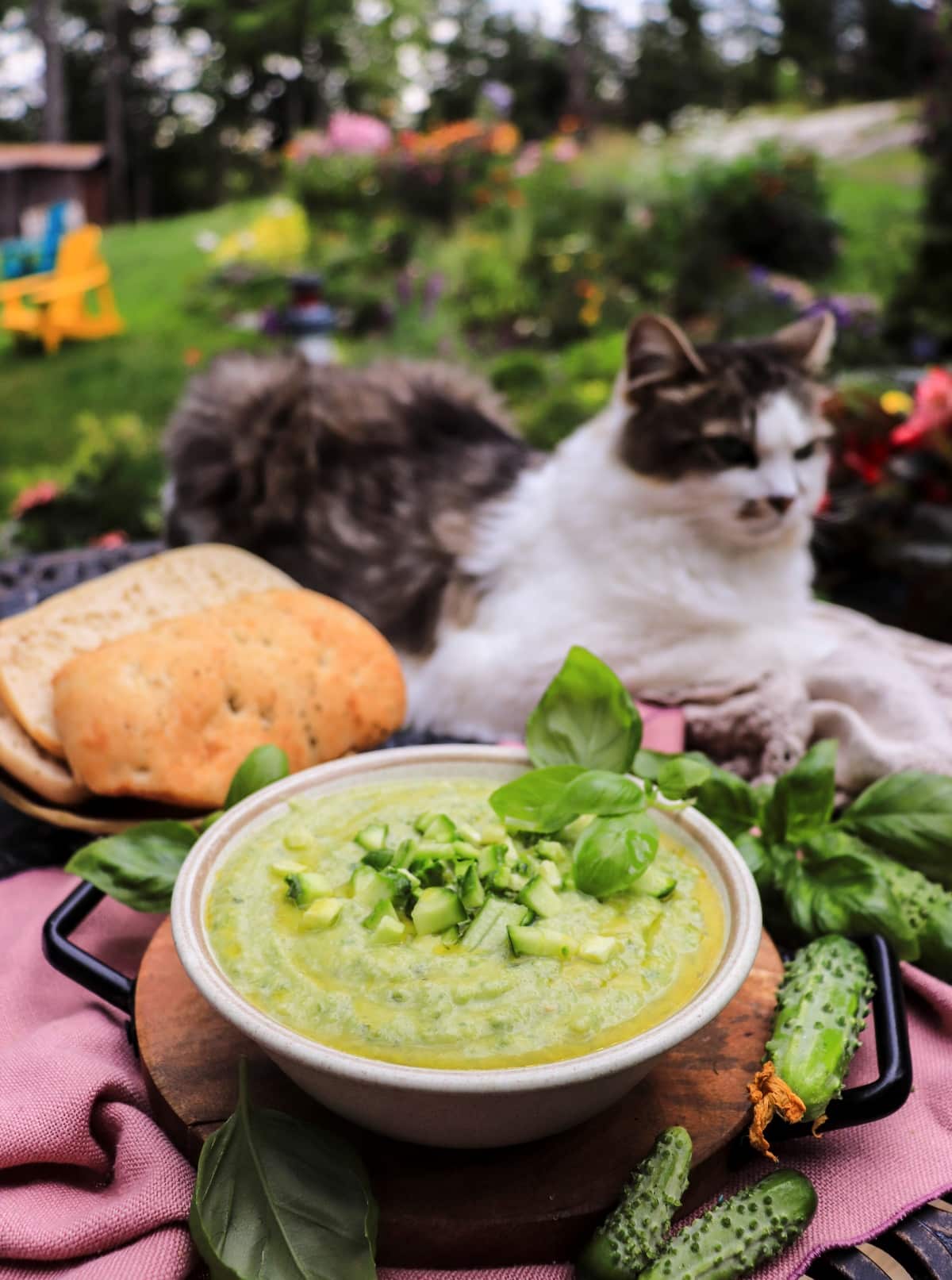 cucumber gazpacho with green tomatoes and avocado