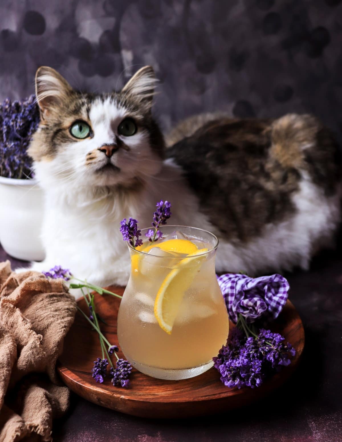 Homemade honey lavender lemonade