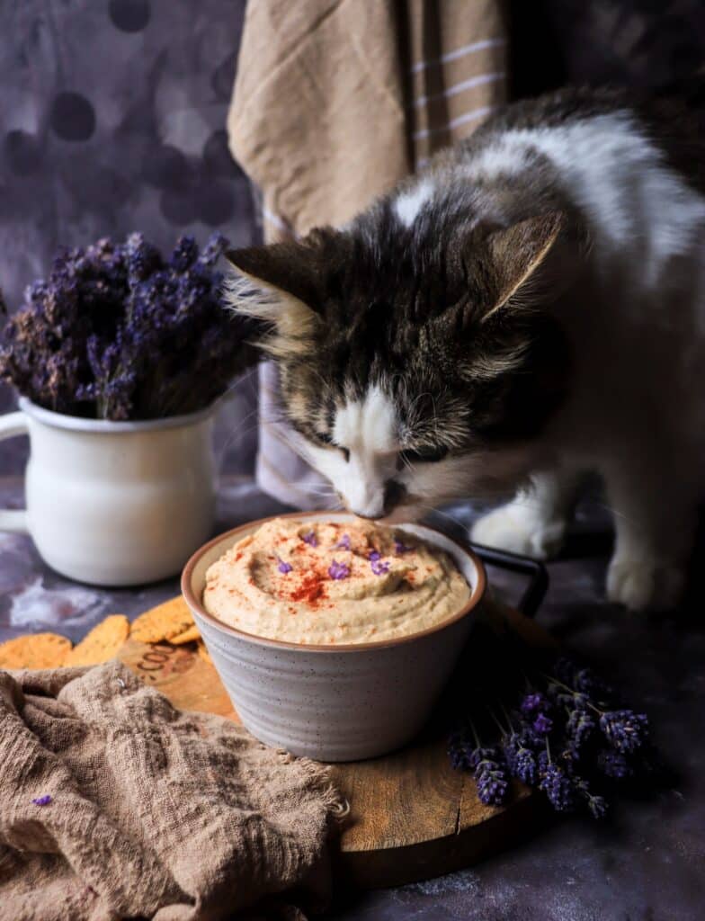 Hummus with Lavender