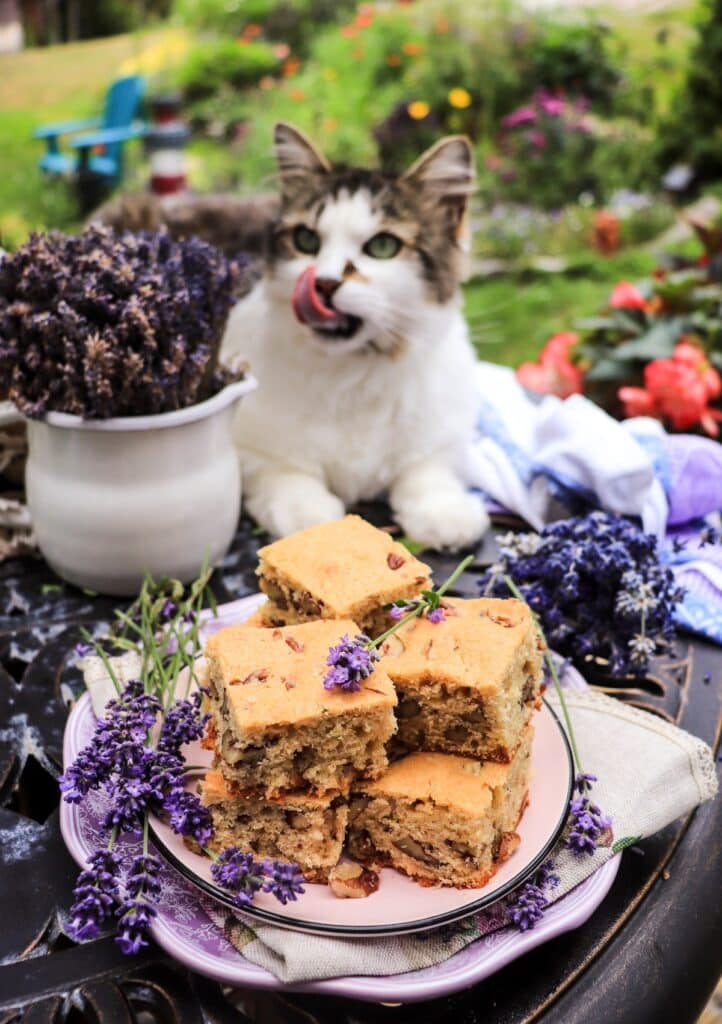 Lavender Cake Bars with Pecans