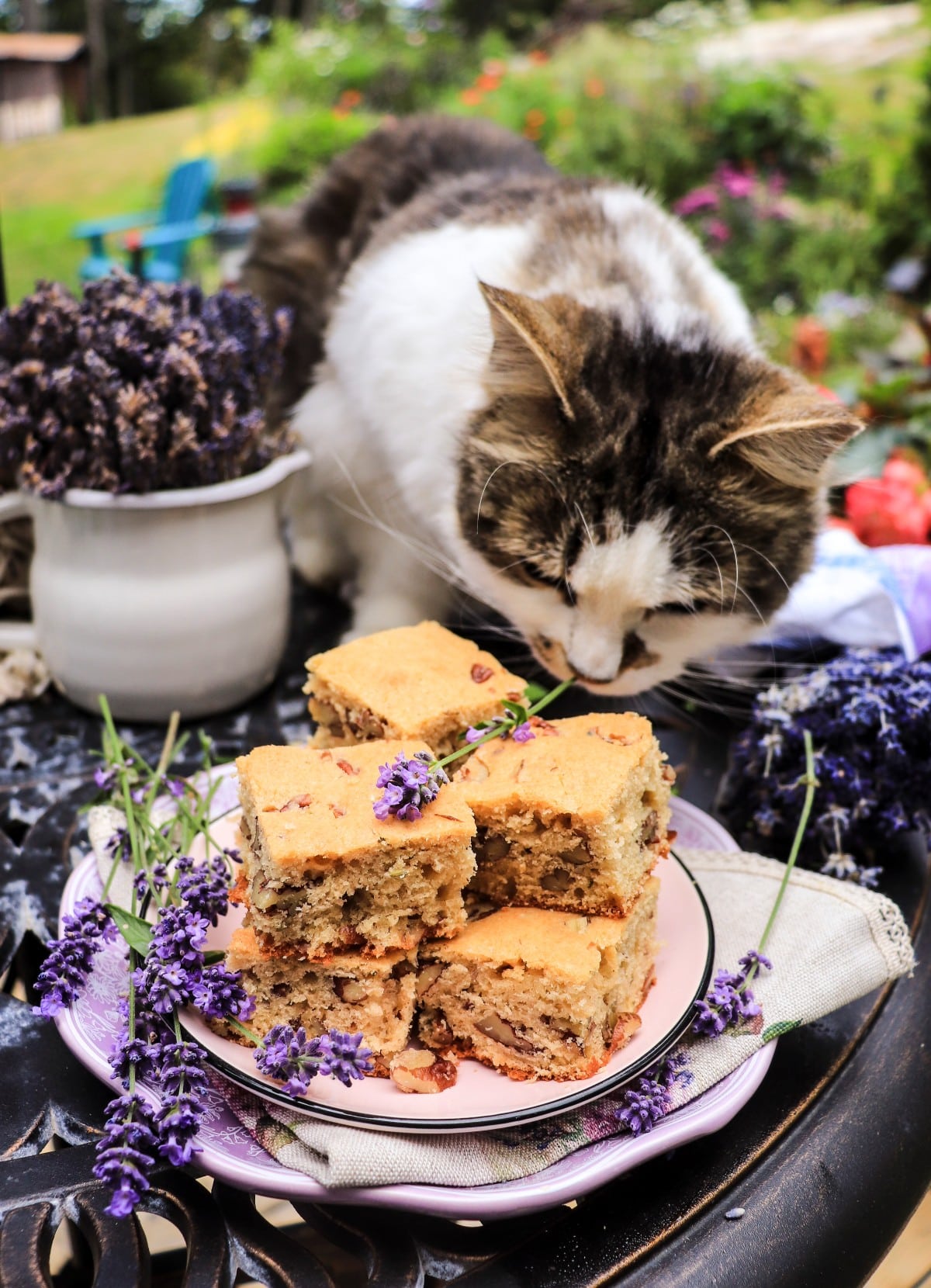 Cake Bars with Pecans and Lavender
