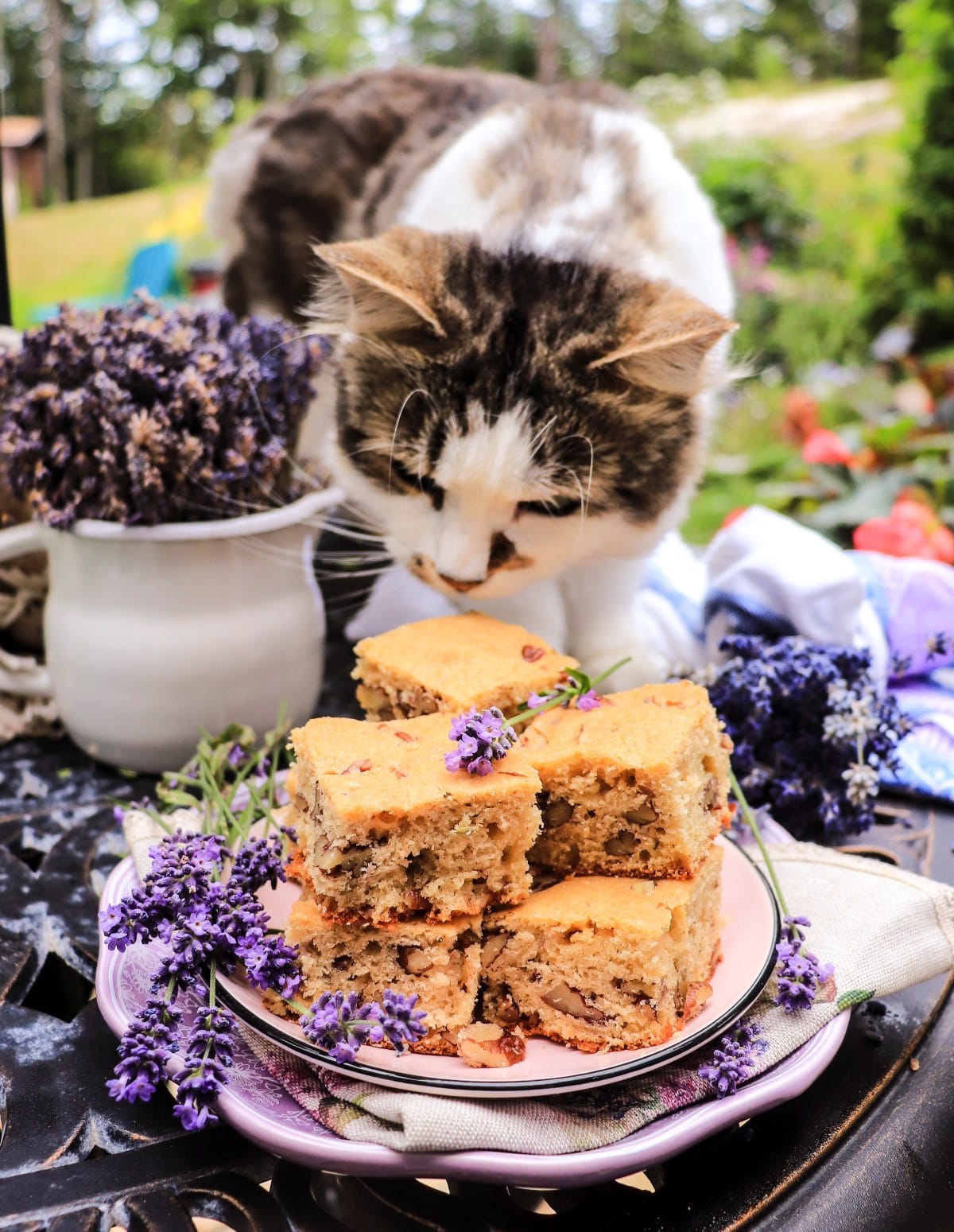 lavender blondies - cake bars with pecans