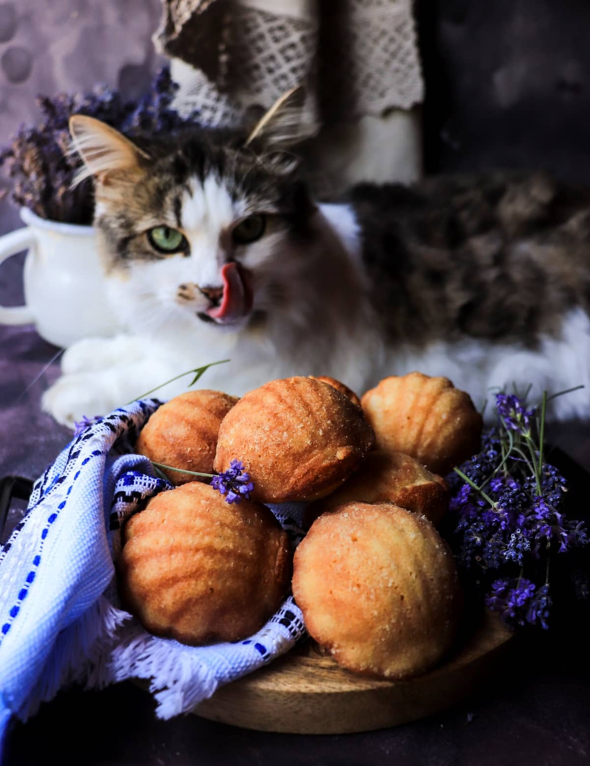 Madeleines recipe with honey and lavender