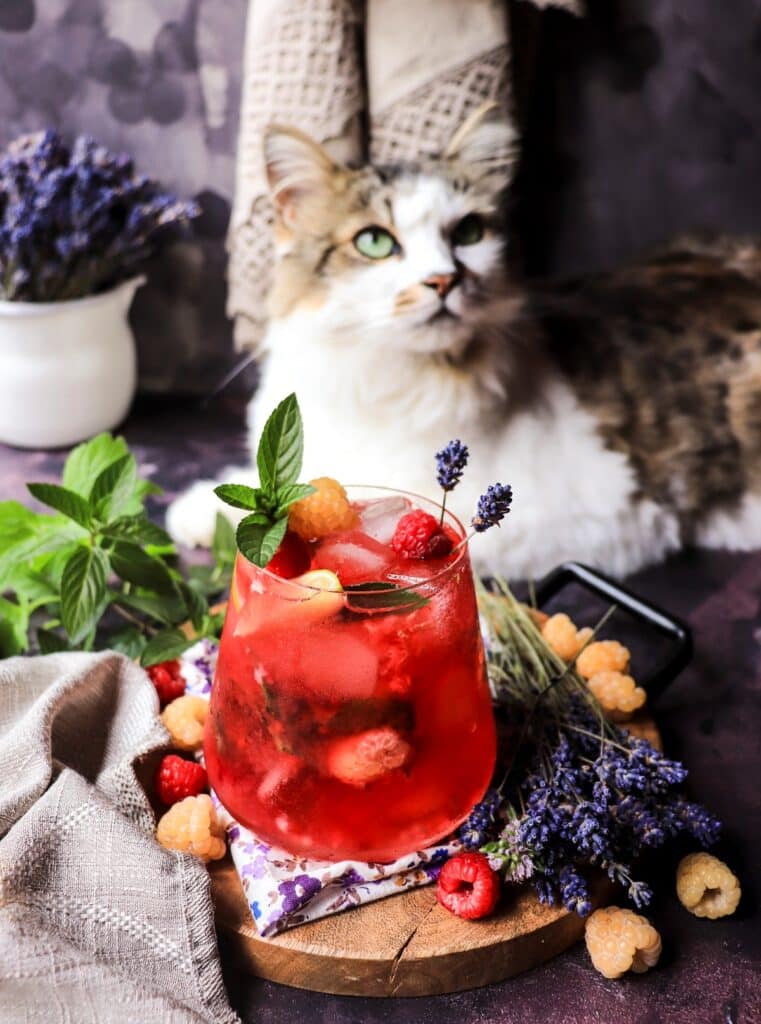 Lavender Raspberry Cooler