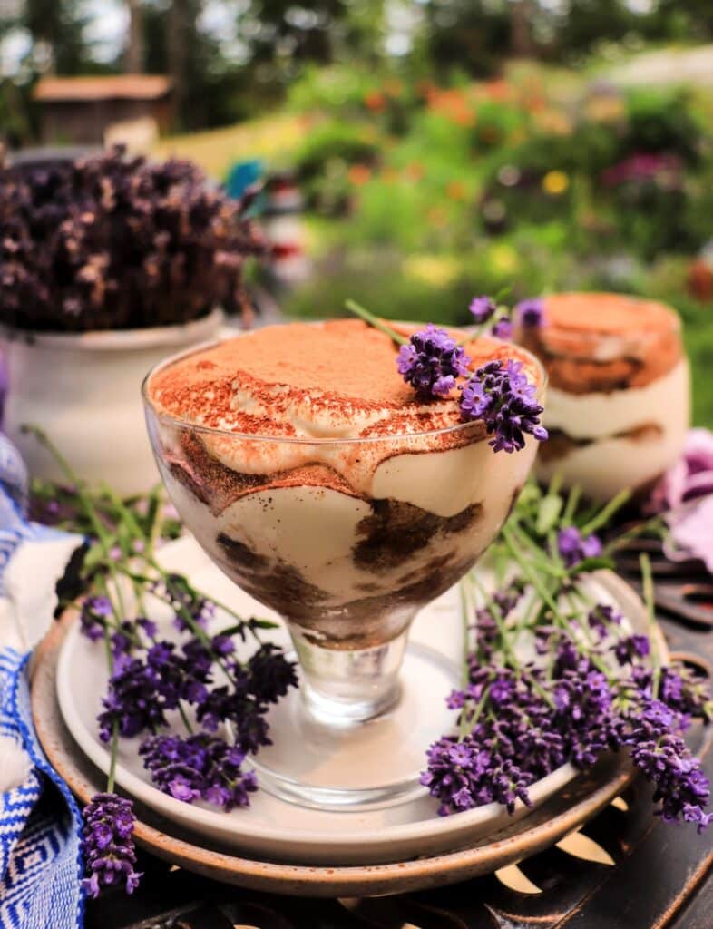 Lavender tiramisu with spiced rum, mascarpone cream, coffee-soaked savoiardi, cocoa, and fresh lavender