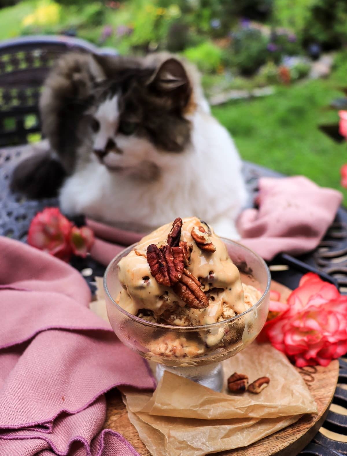 Dulce de leche ice cream with toasted pecans