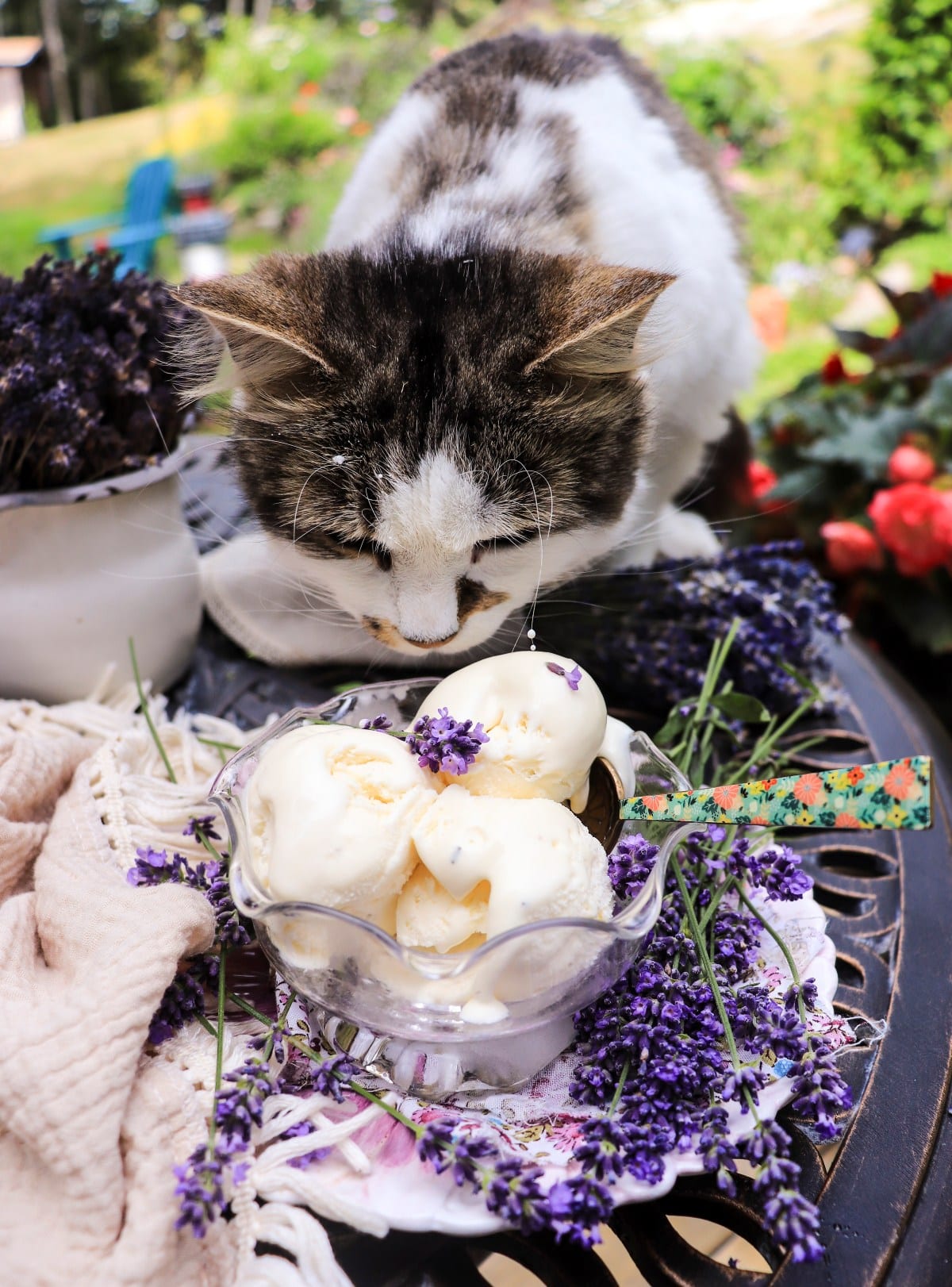 No-Churn Lavender Ice Cream with honey