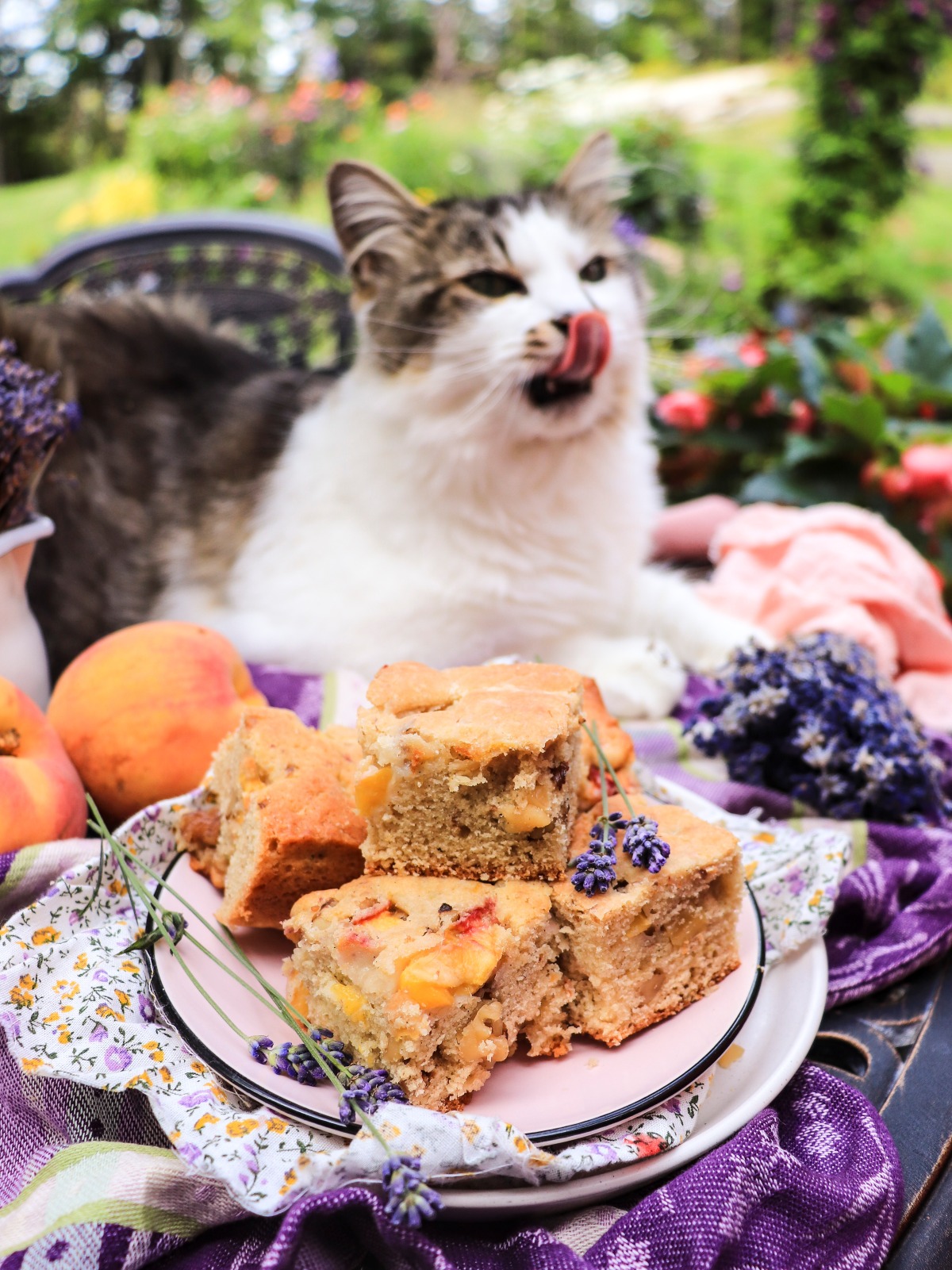 Fresh peach cake bars with lavender (less sweet)