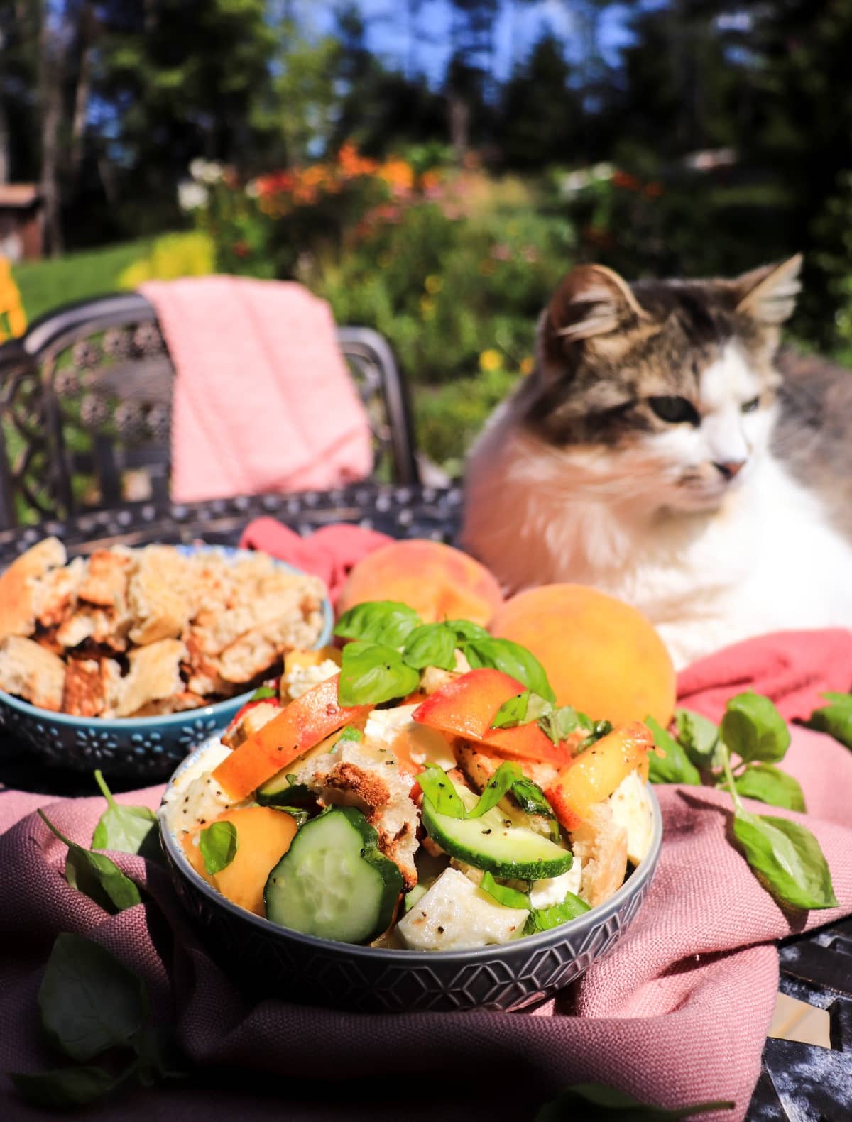 Fresh peach cucumber salad with mozzarella, bread, and basil