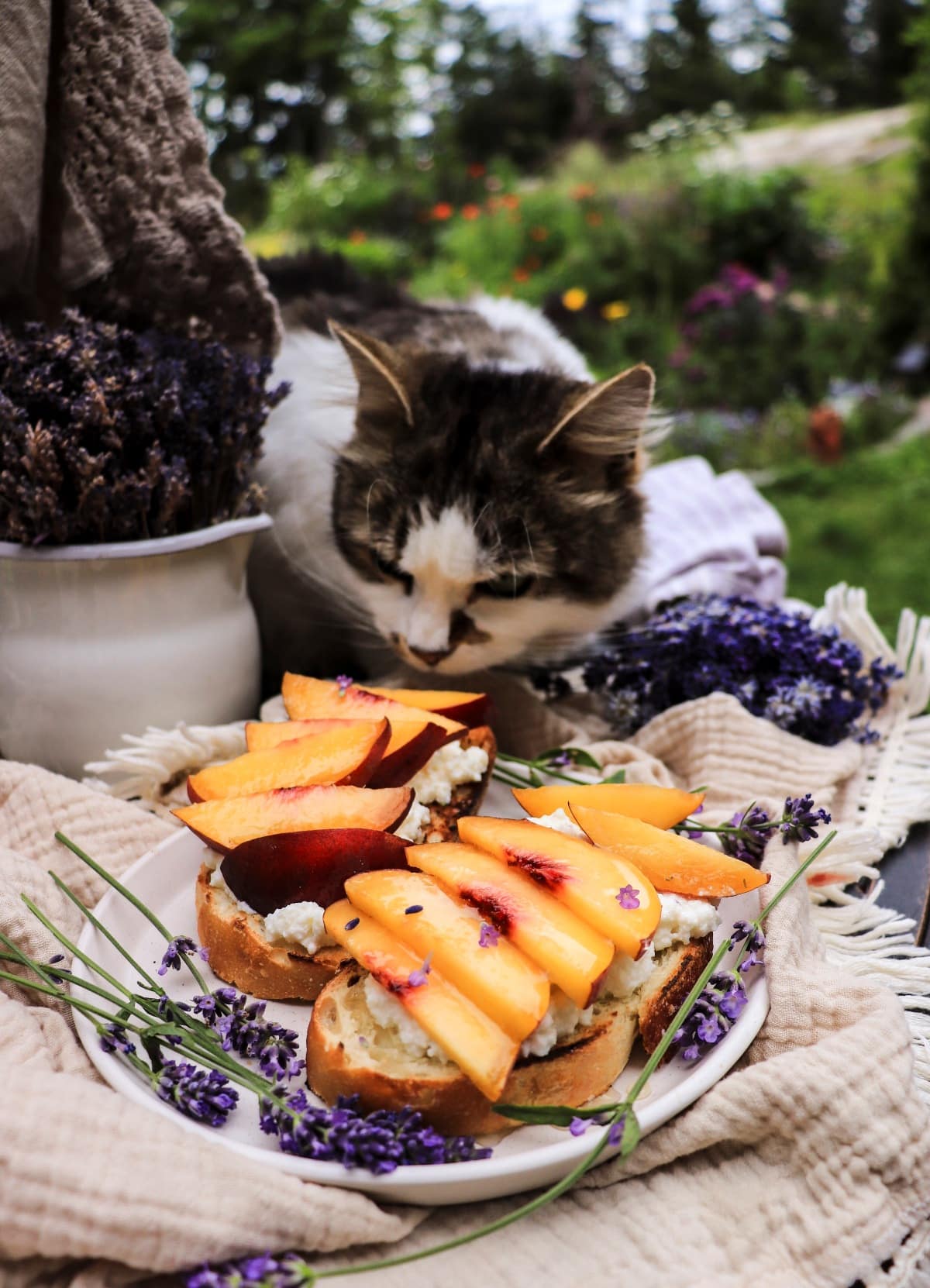Ricotta peach toast with lavender and honey