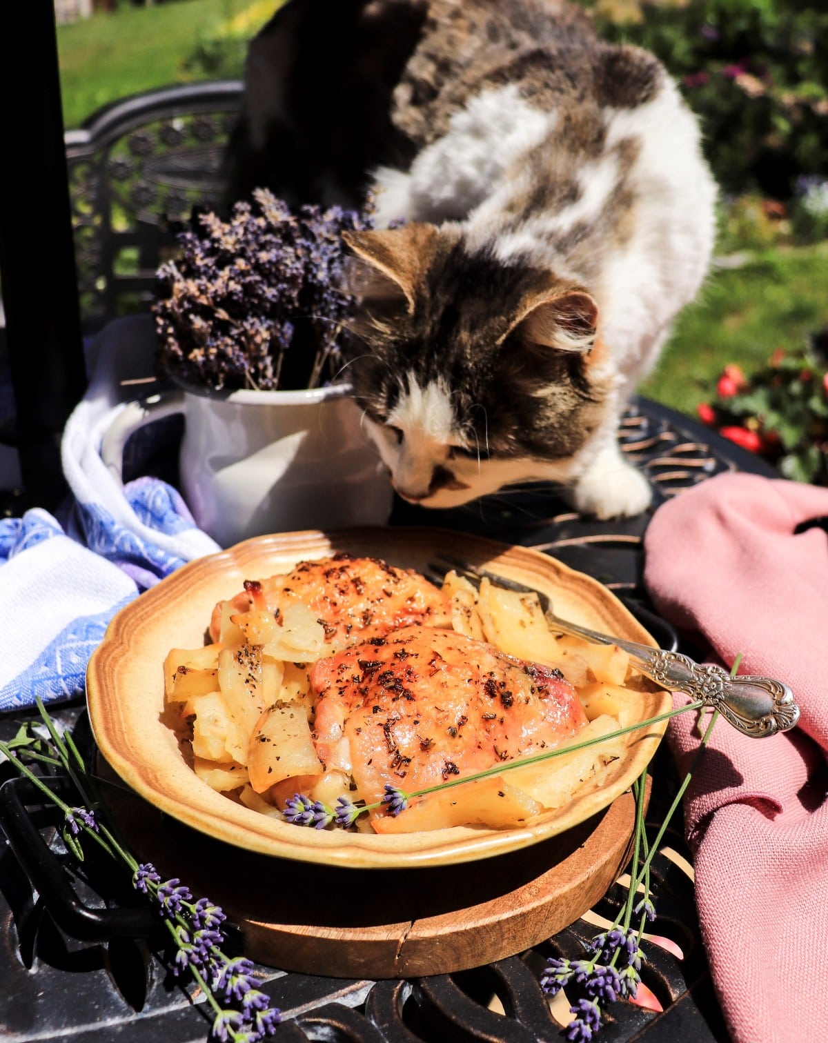 Daisy inspecting roasted chicken and potatoes with lavender