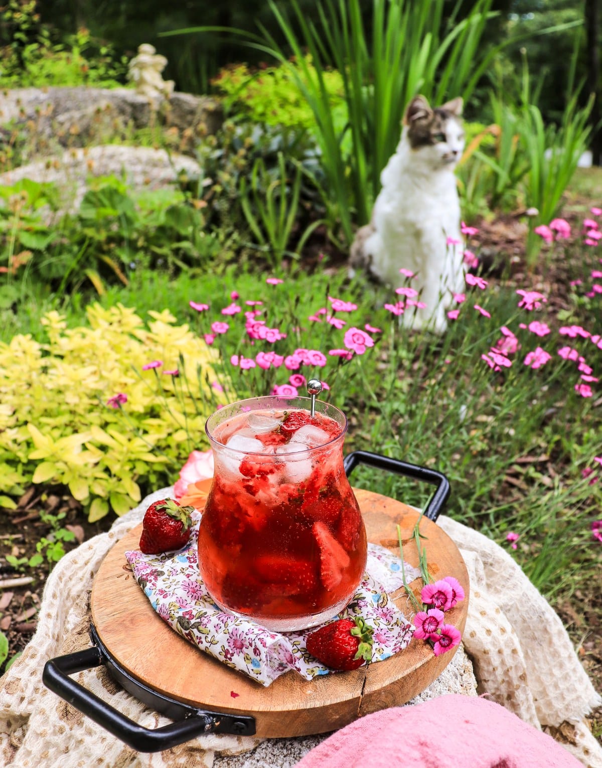 Strawberry amaretto spritz in the garden with Daisy the cat