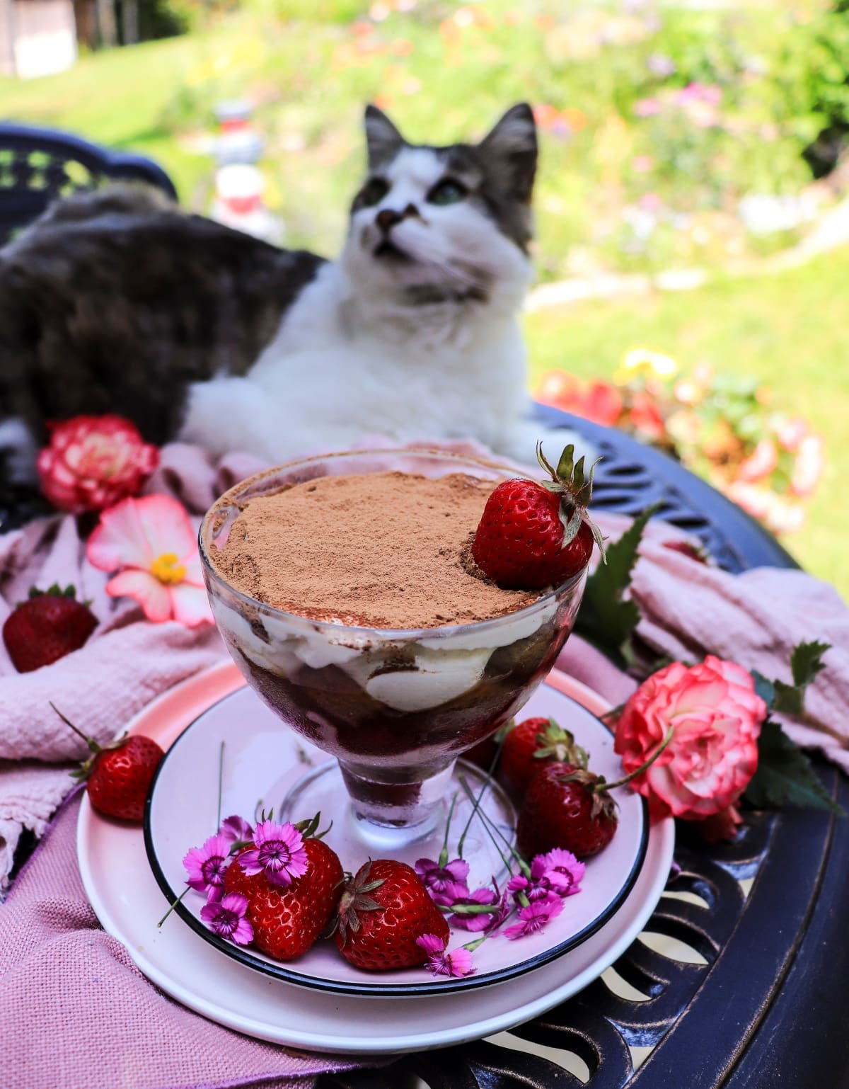 Strawberry tiramisu with amaretto