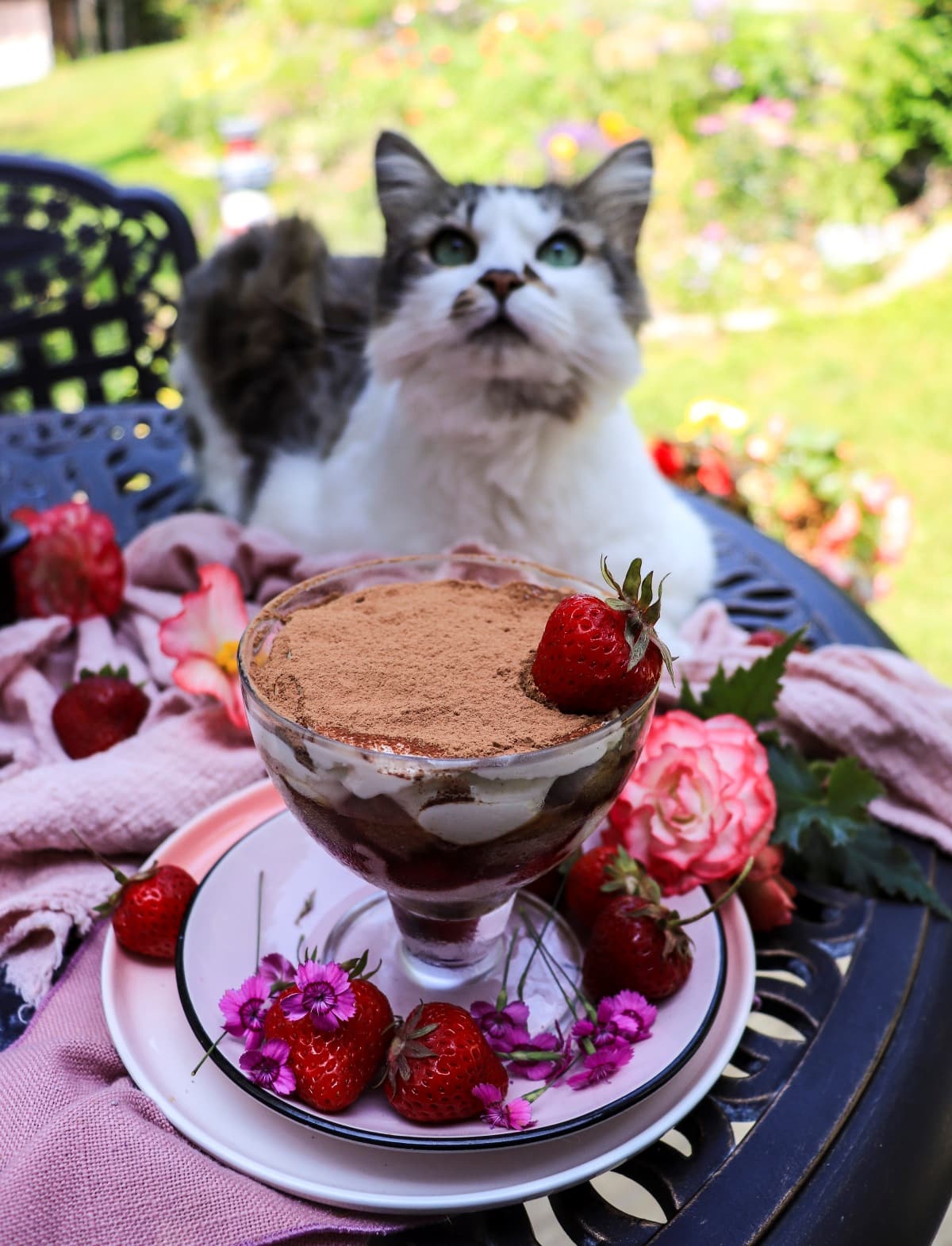 Strawberry and amaretto tiramisu - Easy No-Egg Recipe