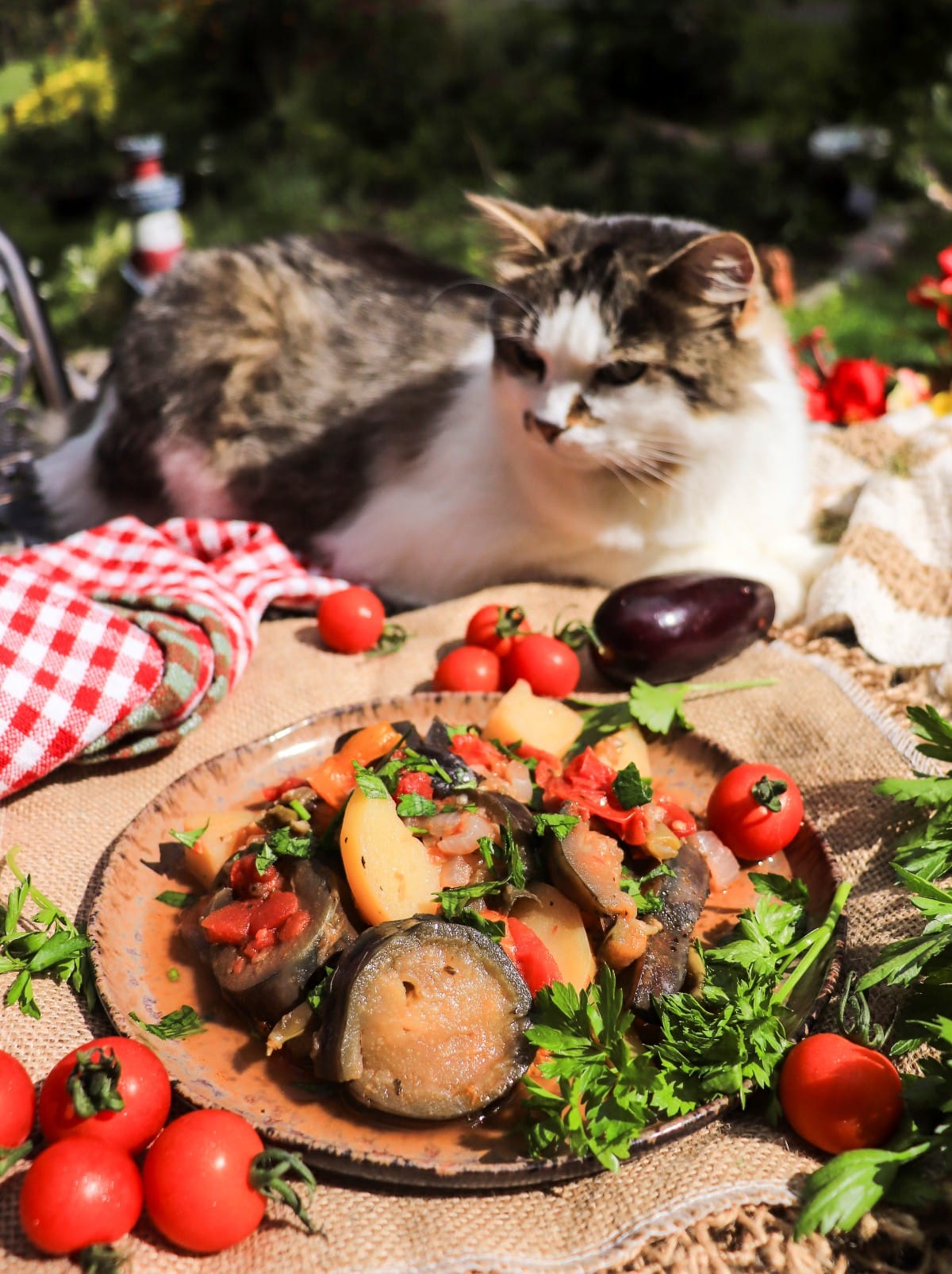 no fry eggplant stew with tomatoes and potatoes  (Armenian eggplant stew Aylazan)