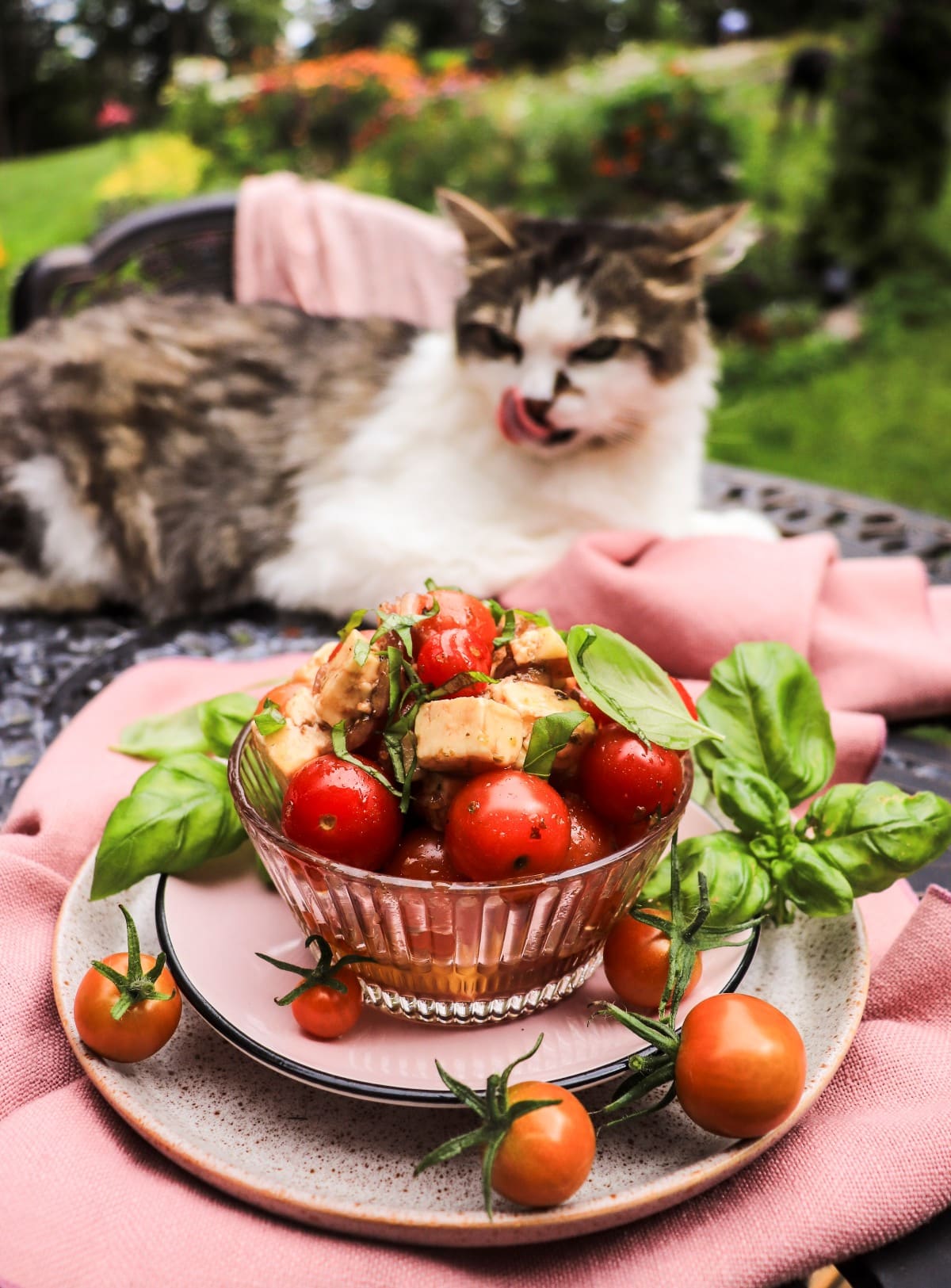 lightly marinated cherry tomatoes with balsamic and feta
