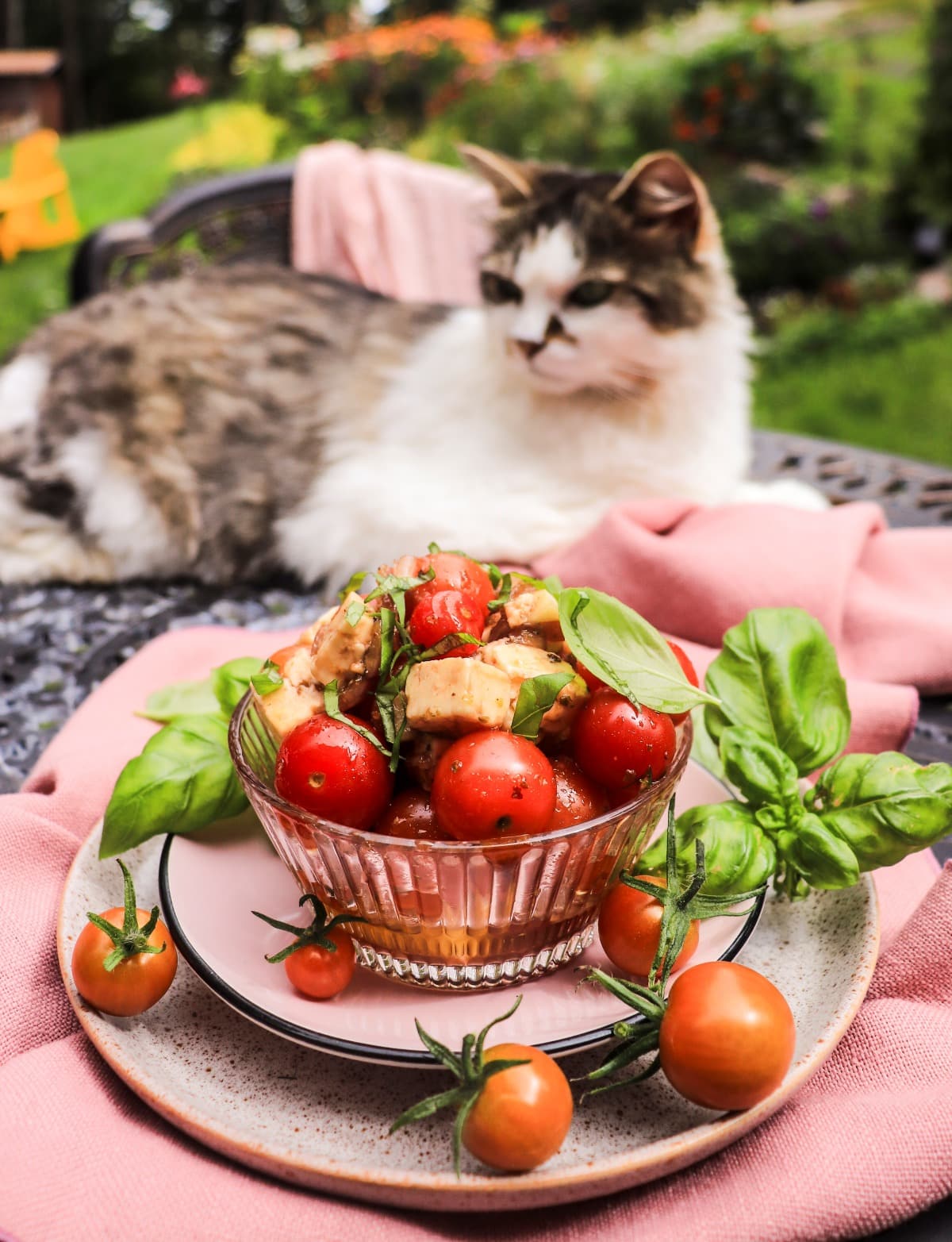 cherry tomatoes with feta, olive oil, basil,  and balsamic