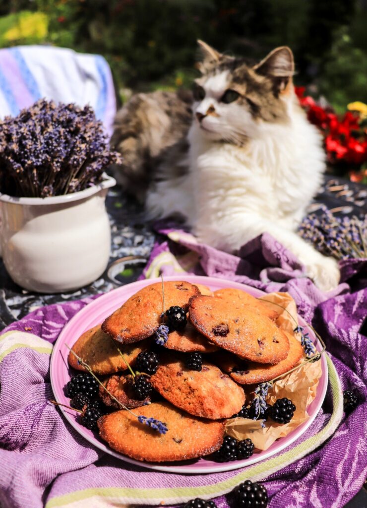 Blackberry Honey Madeleines with Lavender