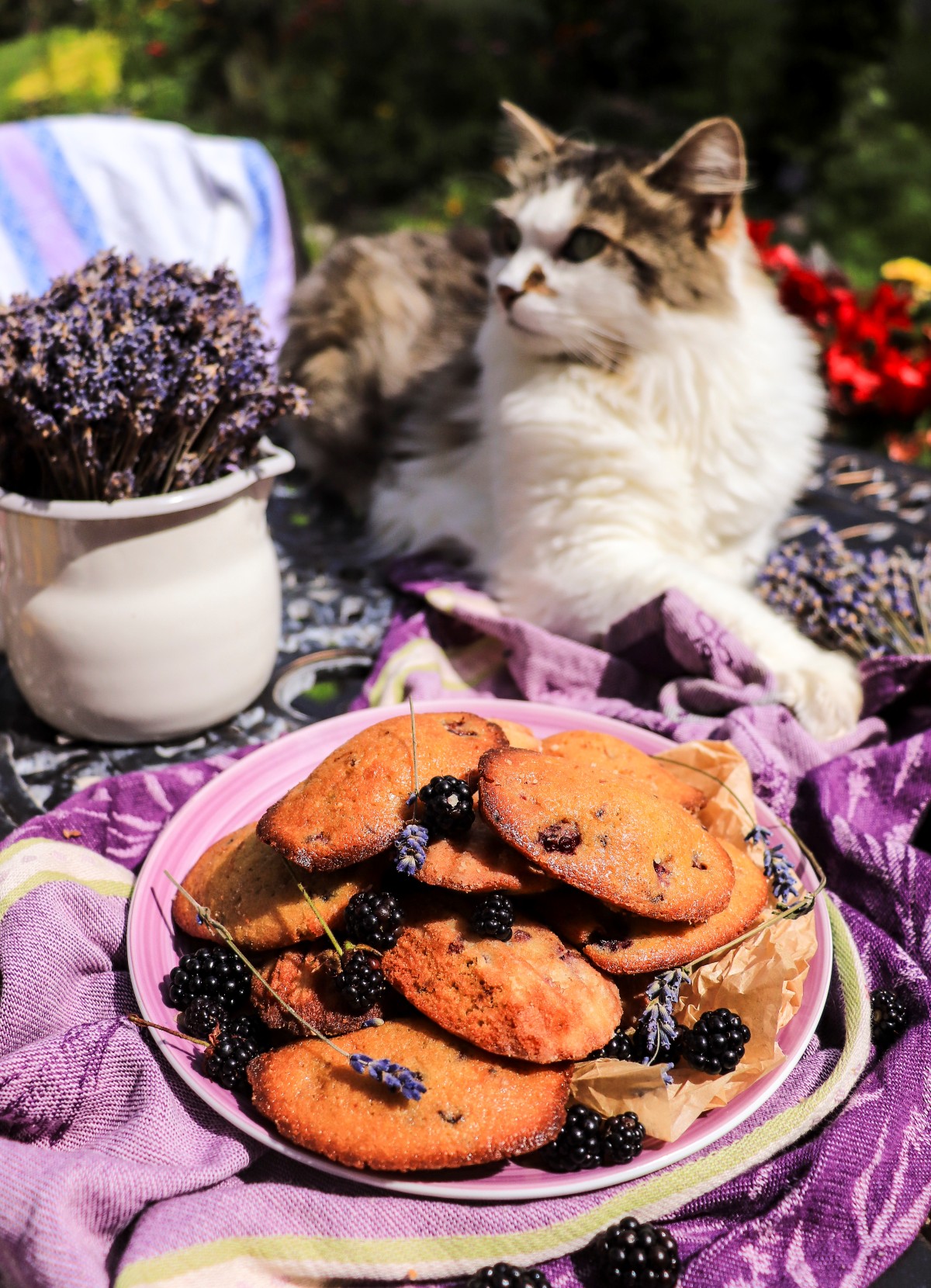 blackberry honey madeleines (French tea cakes) with honey and lavender 