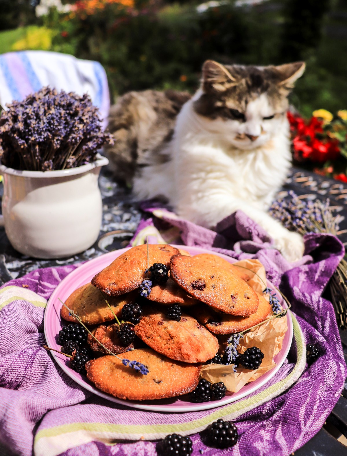 recipe for honey madeleines with blackberries and lavender