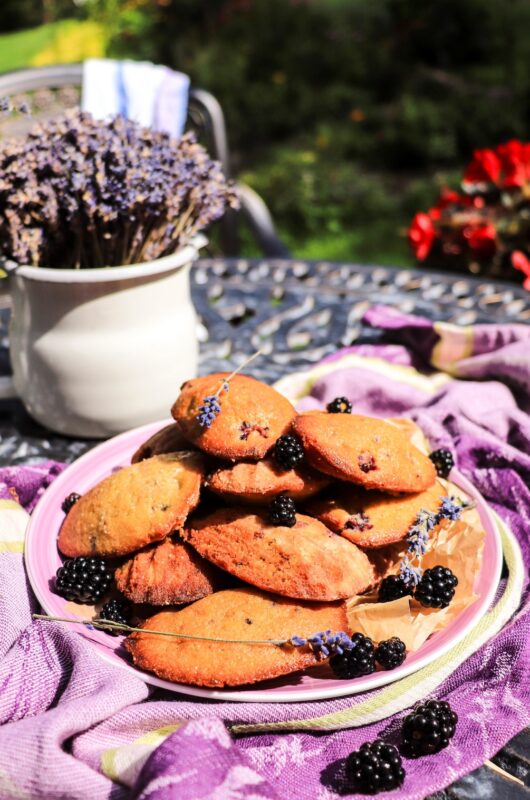 Blackberry Honey Madeleines with Lavender