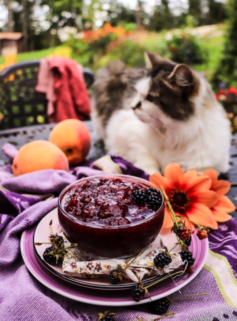 Blackberry Peach Jam with Maple Sugar
