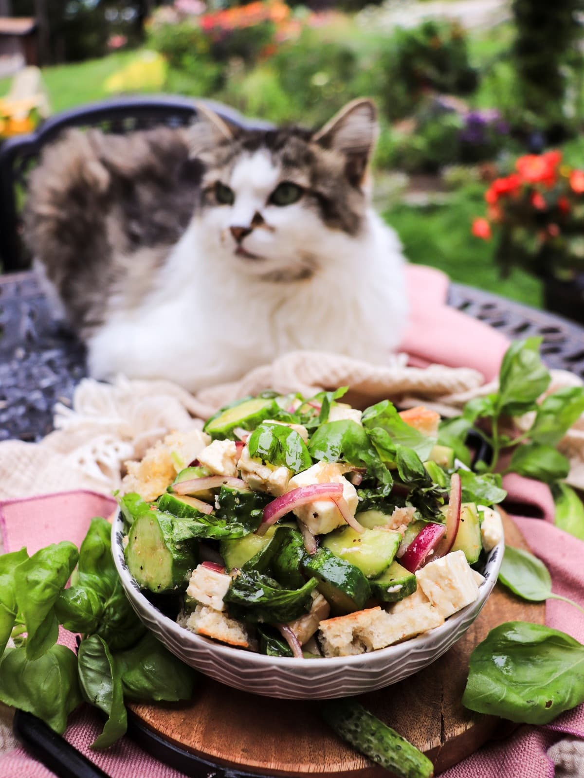 cucumber feta salad with bread and red onions