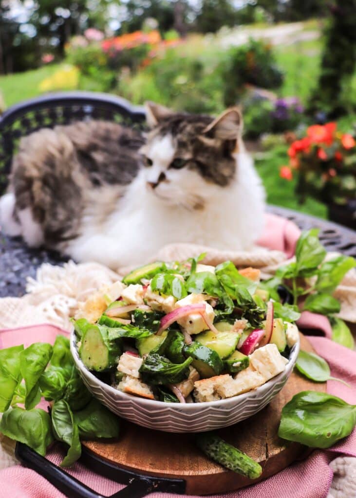 Cucumber Feta Salad with Toasted Bread