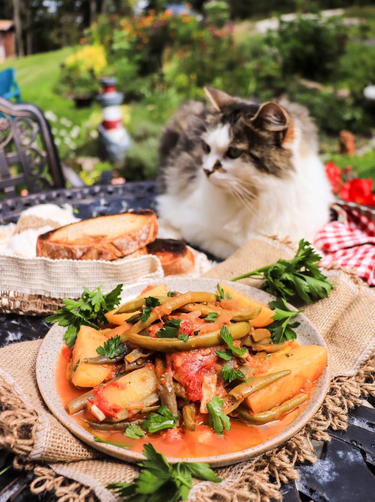 fasolakia lathera recipe (Greek green beans and potatoes) with Daisy beside