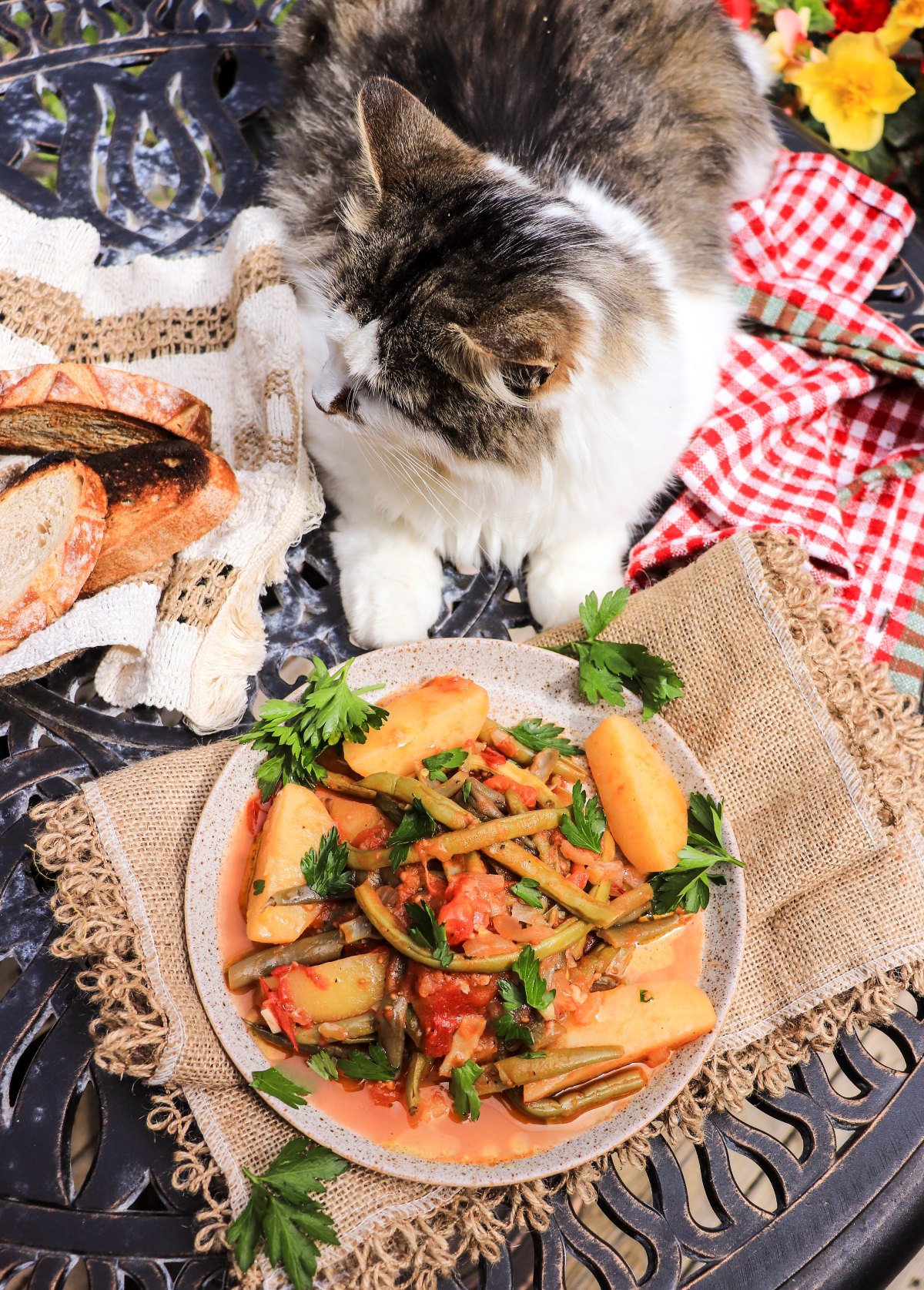 Greek green bean stew with potatoes and Daisy