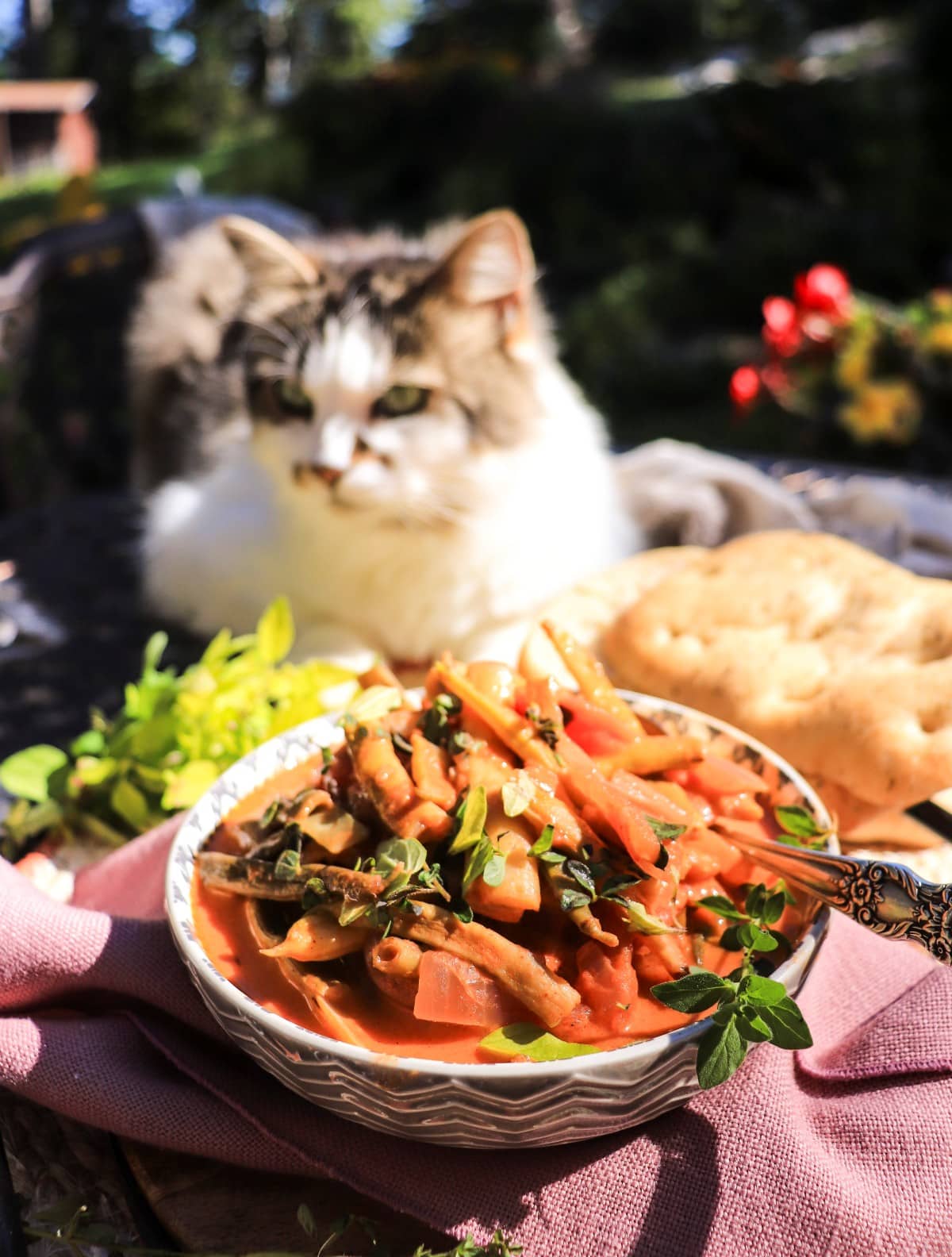green bean tomato stew with Daisy the Cat