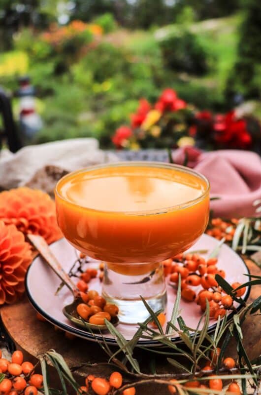 Homemade Sea Buckthorn Syrup (Concentrate)