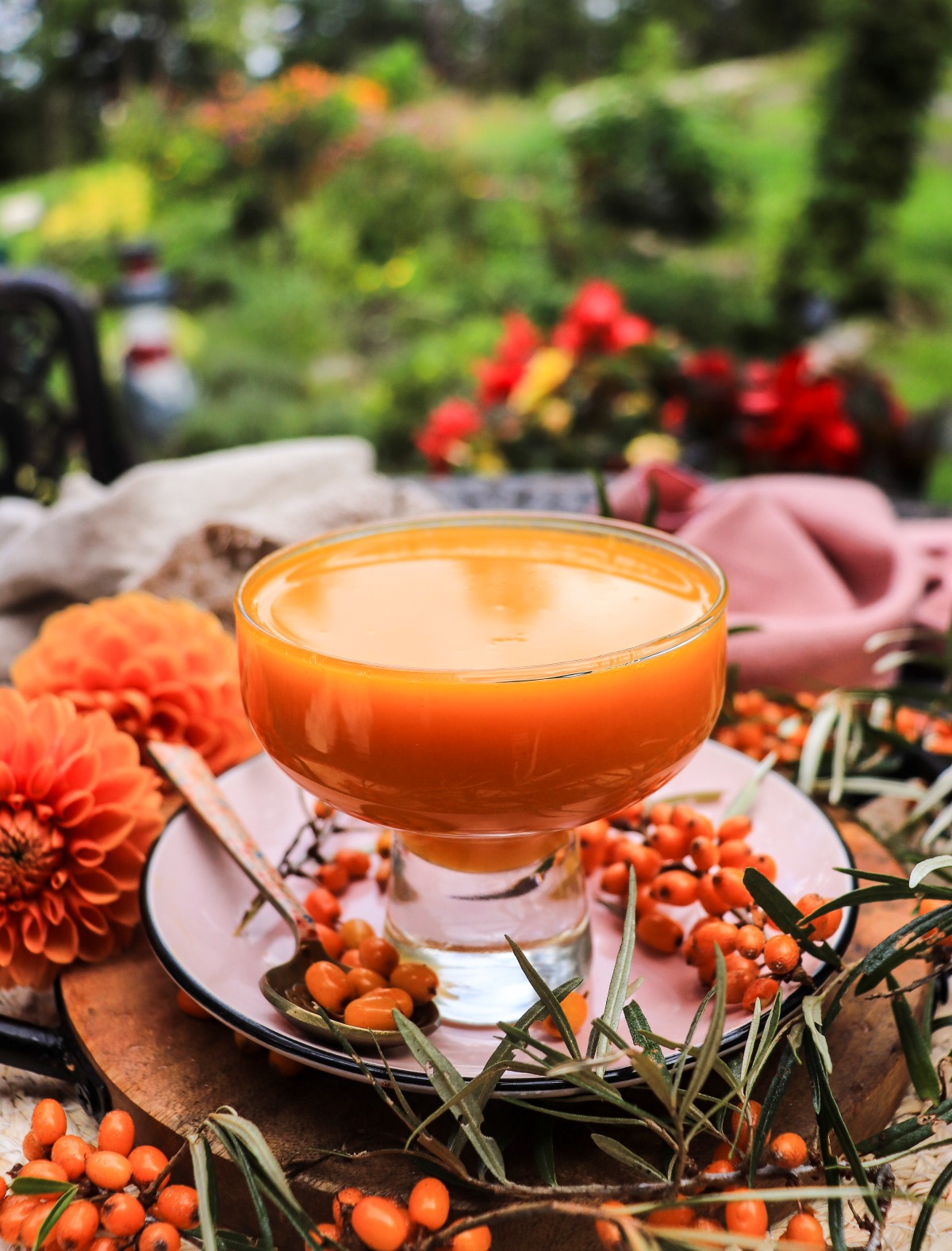 Homemade sea buckthorn concentrate recipe 