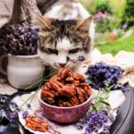 Honey Caramelized Pecans with Lavender
