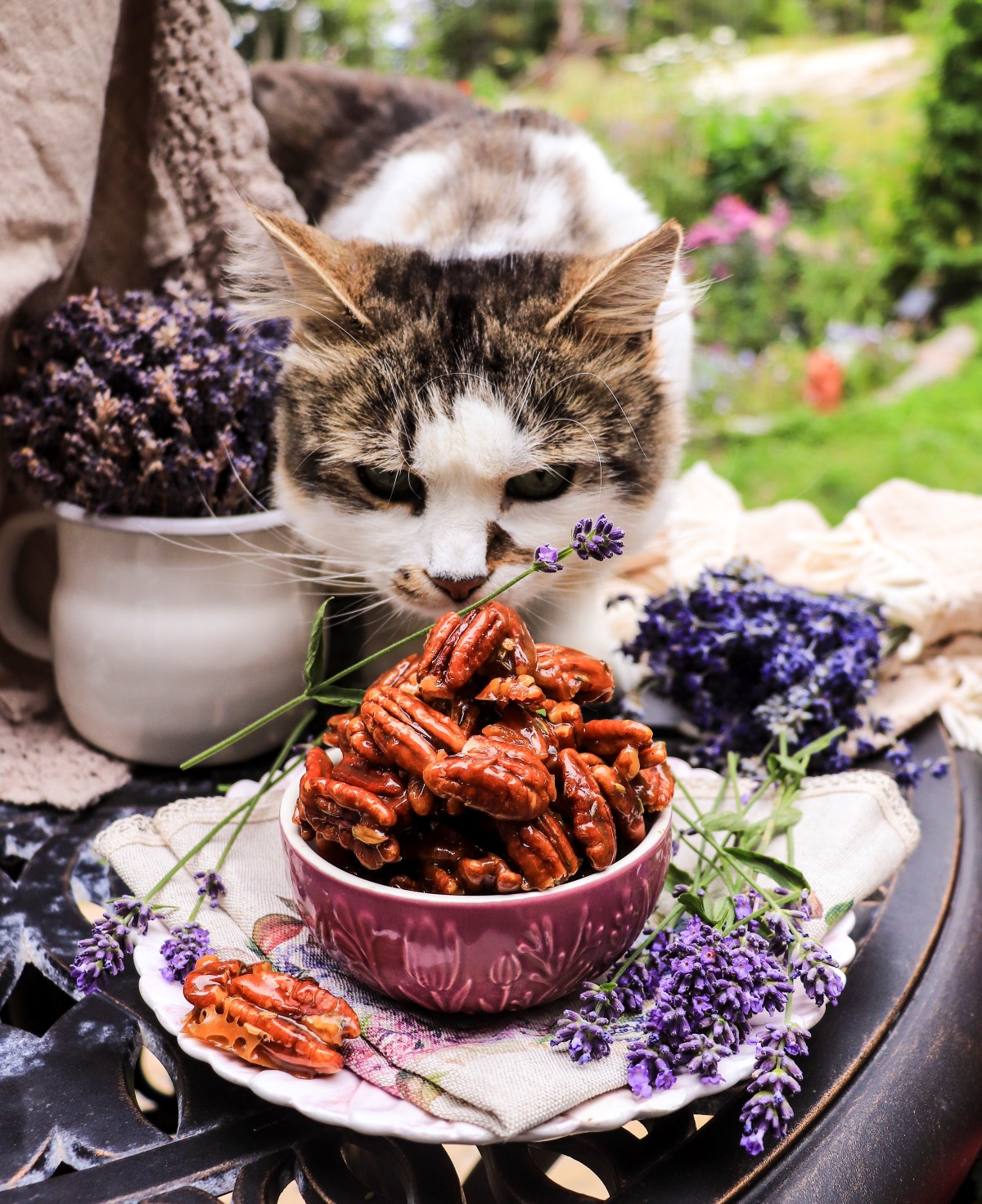 honey caramelized pecans with lavender