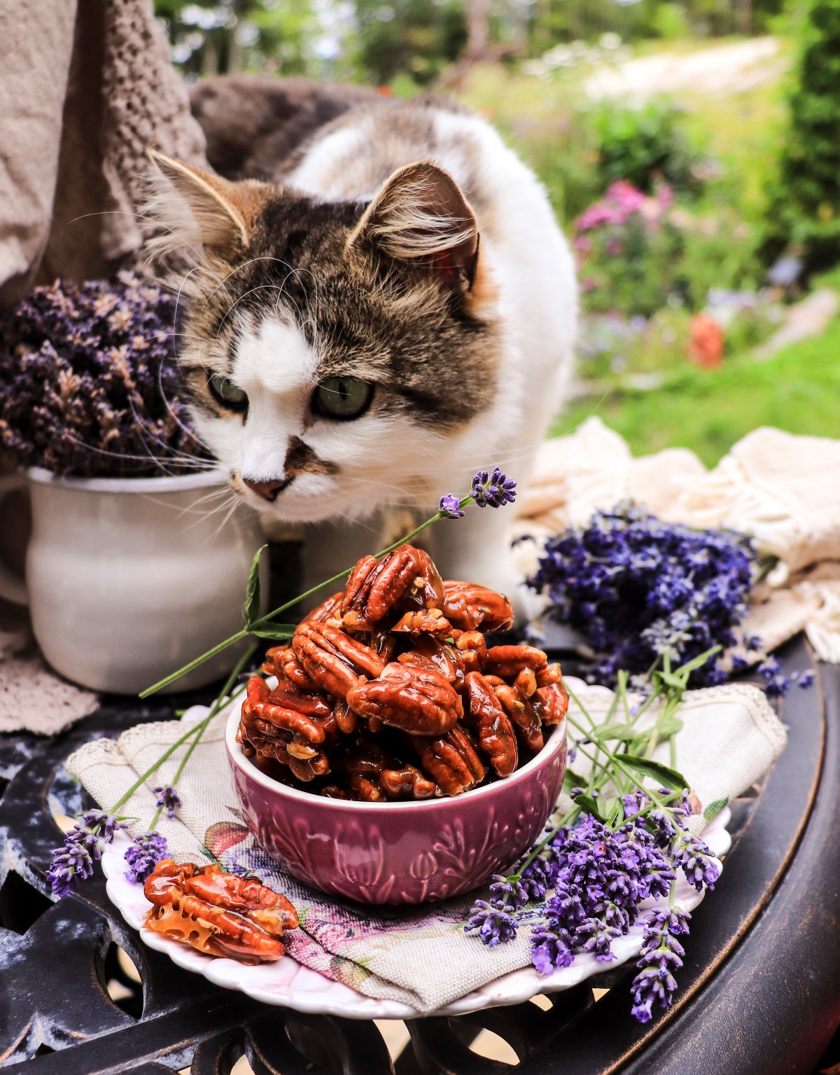 caramelized pecans with honey and lavender (stovetop candied pecans)
