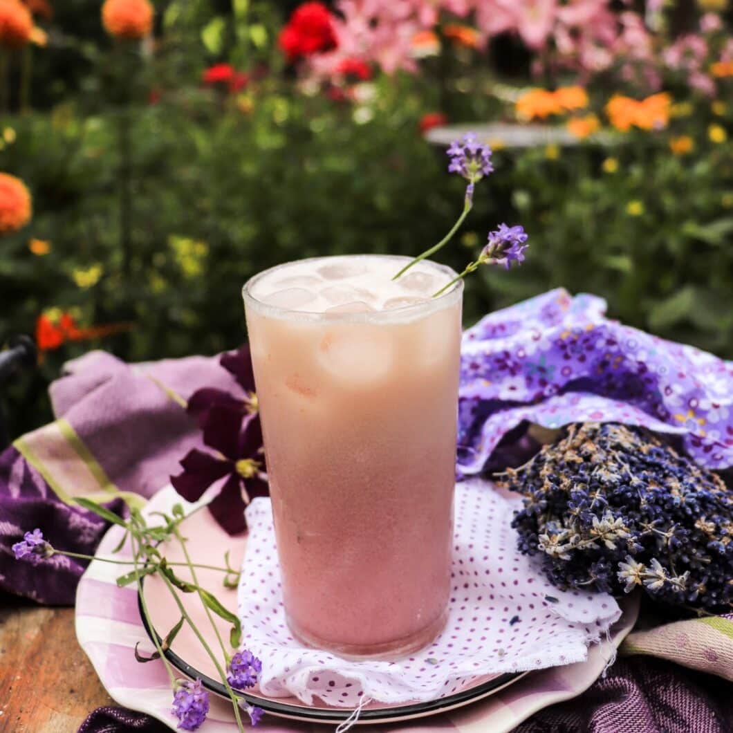 Lavender Cream Soda