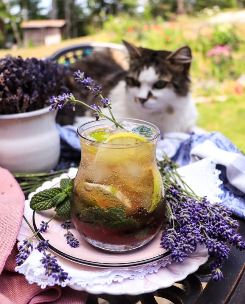 Lavender Lime Cooler