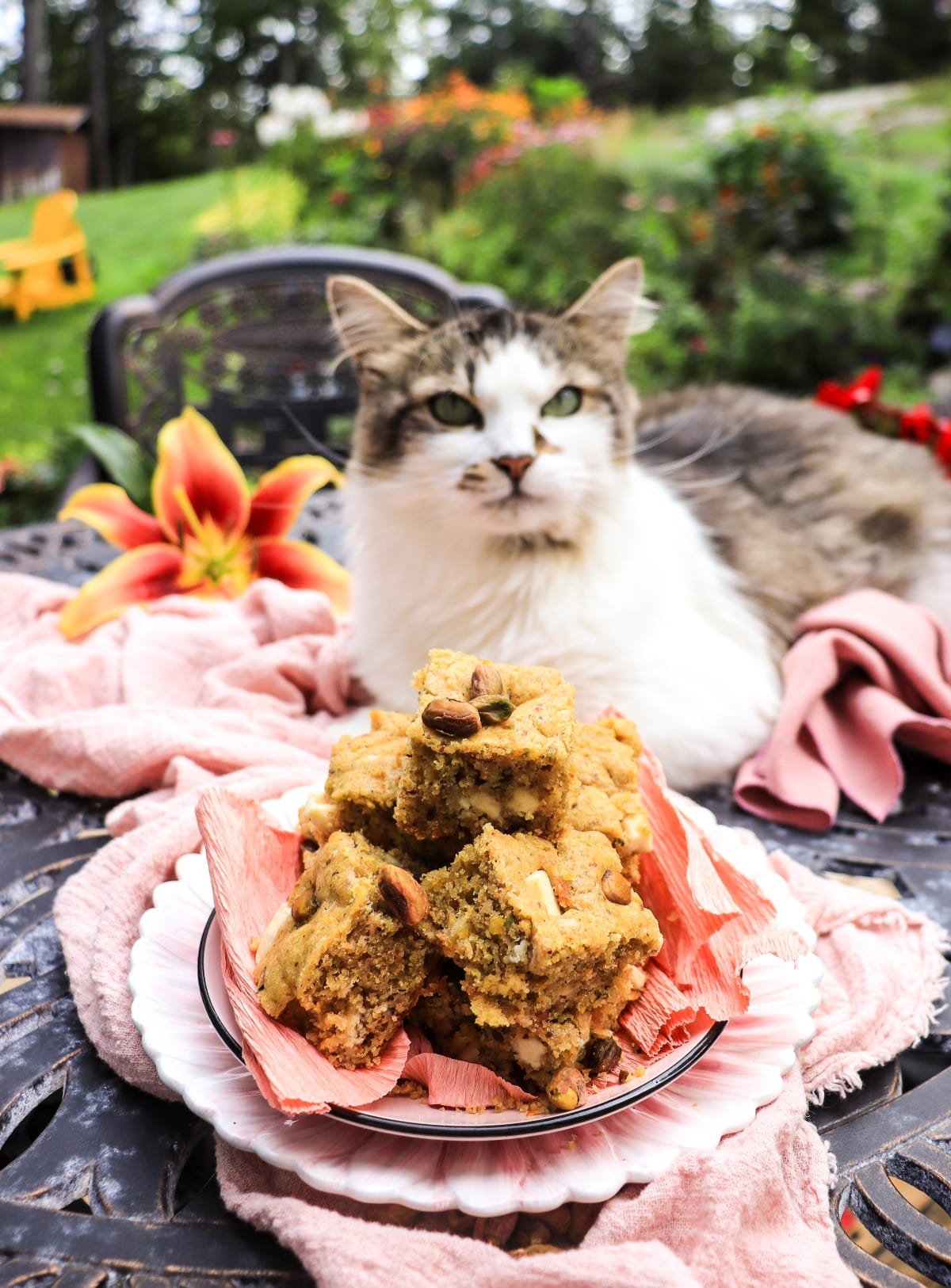 easy pistachio cake bars recipe